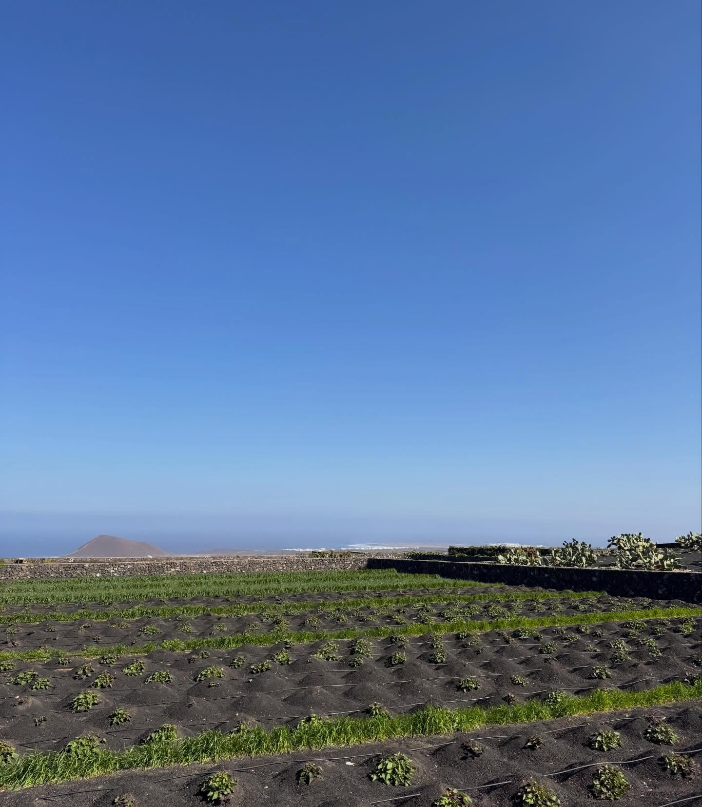 Finca Vega Costa Landscape